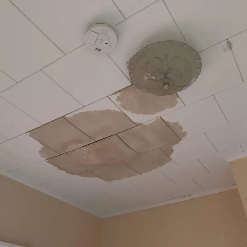 Ceiling Water Damage Repair in Rolla, ND