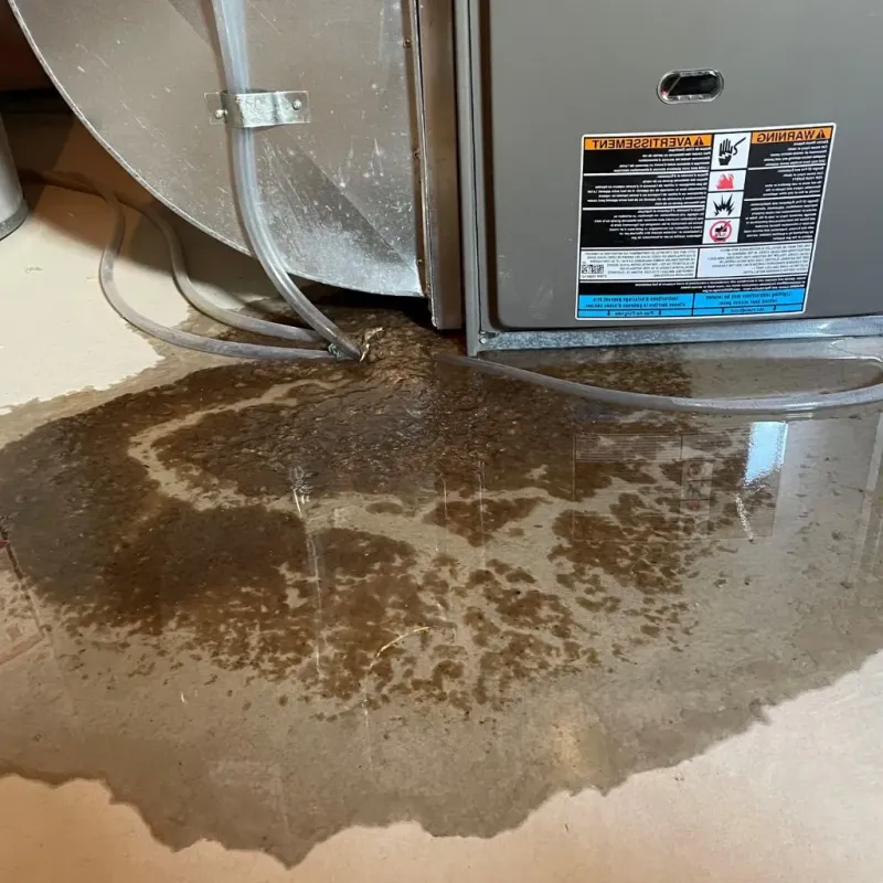 Pipe Burst and Leak Restoration in Rolla, ND