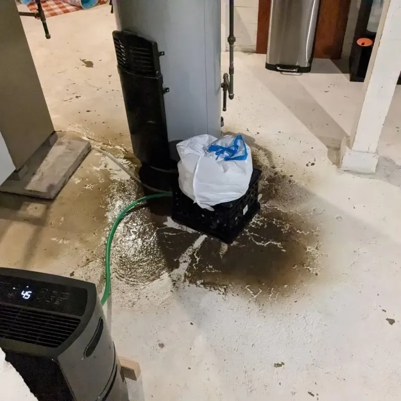 Sewage Backup Cleanup Service in Rolla, ND